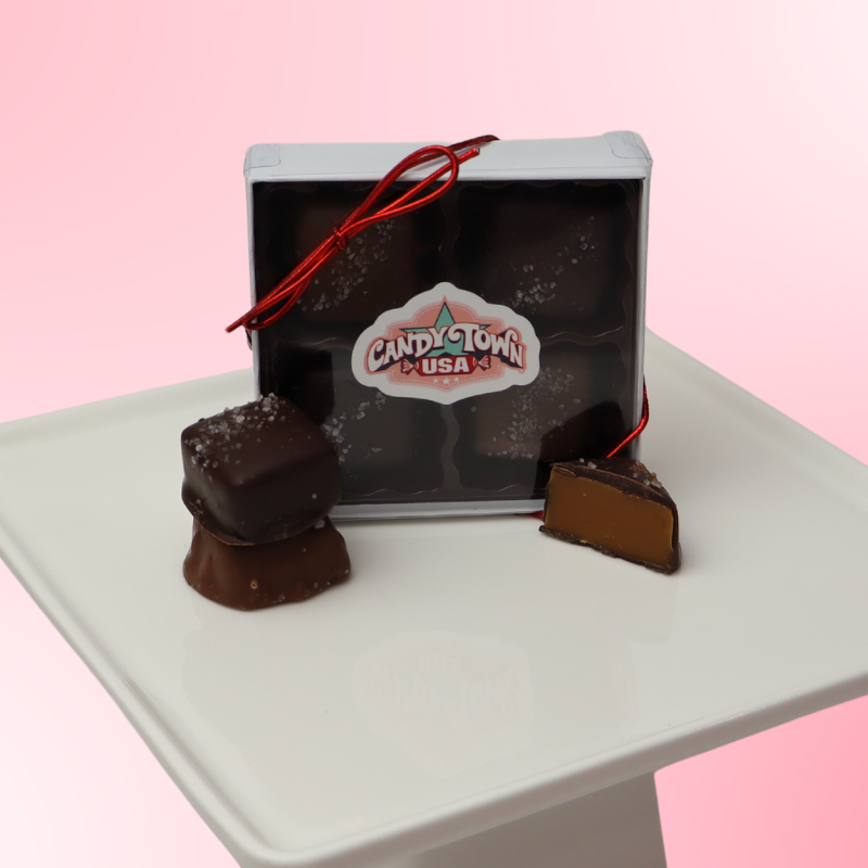 4 pack Chocolate covered Sea Salt Caramels (4 OZ)