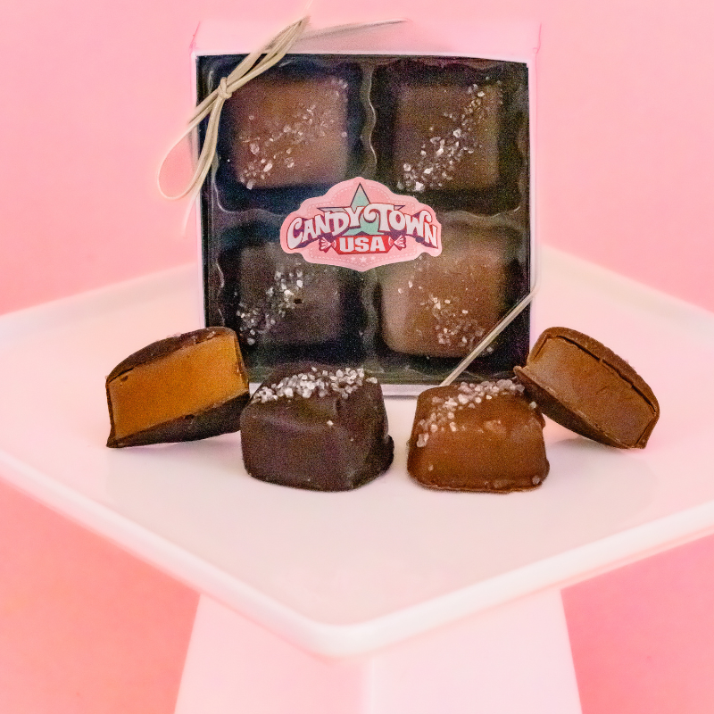 Dark Chocolate Sea Salt Caramels (4 PACK- 4 OZ)